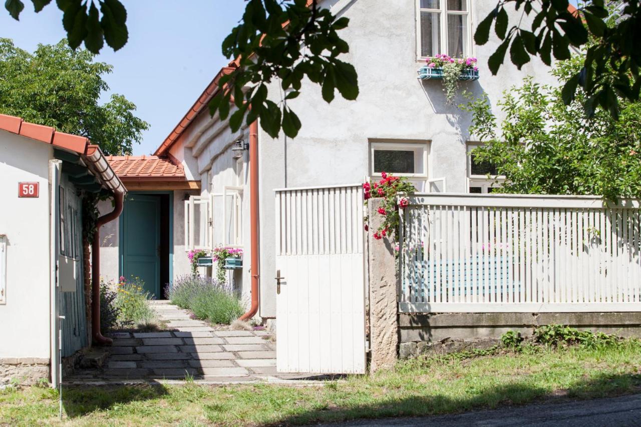 ZdiceDomecek Na Kvetinovem Statku别墅 外观 照片