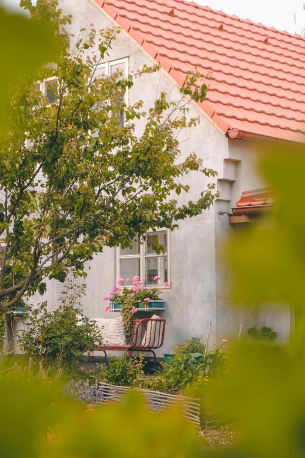 ZdiceDomecek Na Kvetinovem Statku别墅 外观 照片